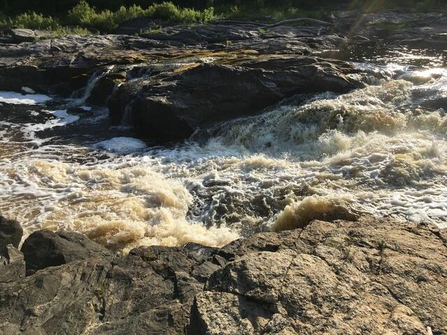 0CE3FE15-265D-4BF6-8B3B-4CE2E72A65B0