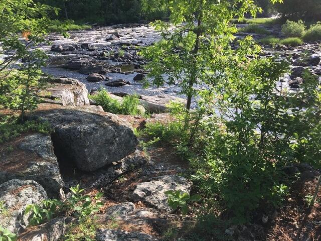 27F8A40C-2E4D-4E40-8646-09E616CCC285