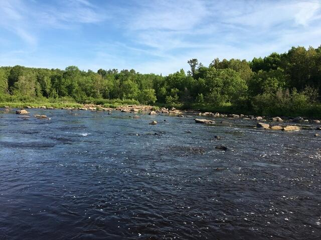 30134E76-2257-4F59-911A-0BE615951BE5