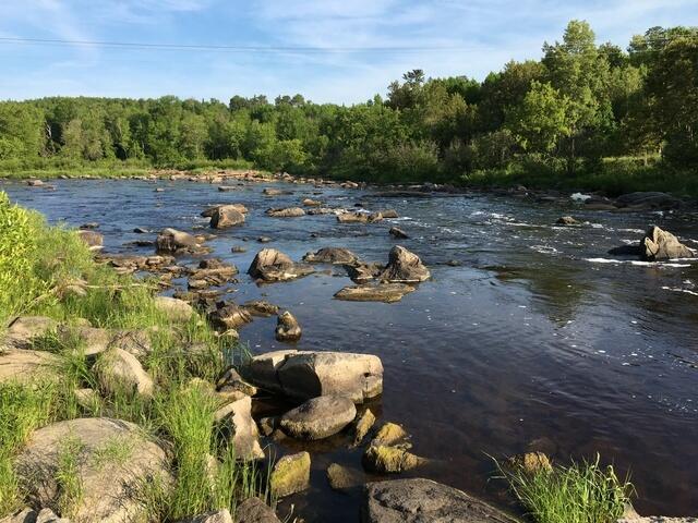 34A149CF-18EA-40C4-A40E-1D98F69FAF45