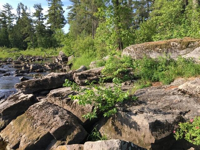 3BE7760A-0416-456E-AD5C-AEC45F07858C