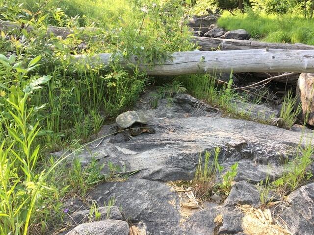 3C977954-728C-4B34-82D4-4A035C24E1A7