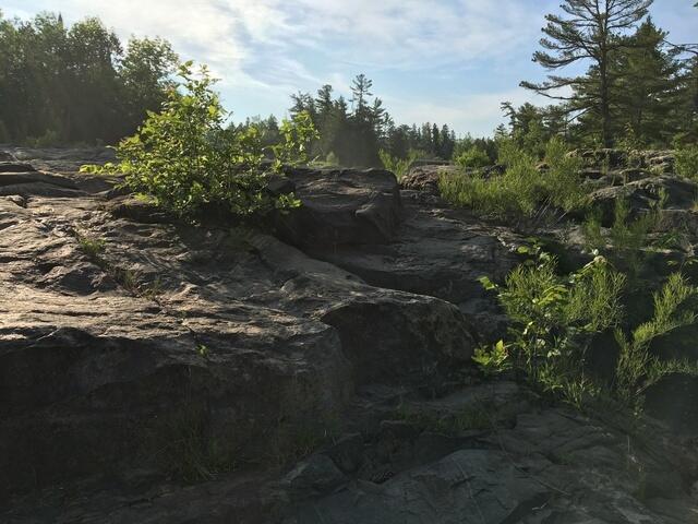 5A9A93BB-745F-4992-9679-82E77F619015