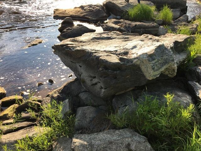 7100353B-71B4-4526-AA8C-5F40EB697E5C