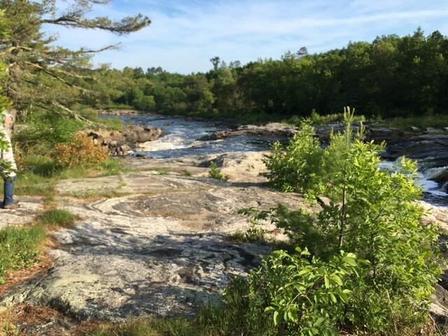 78278F6D-60FB-4A11-B13D-D618161B7F90