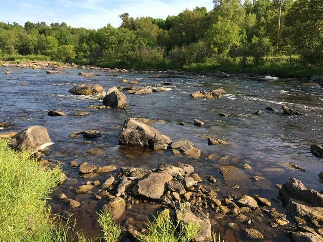 82532FF6-F2F4-49F3-A241-D78ED64649C7