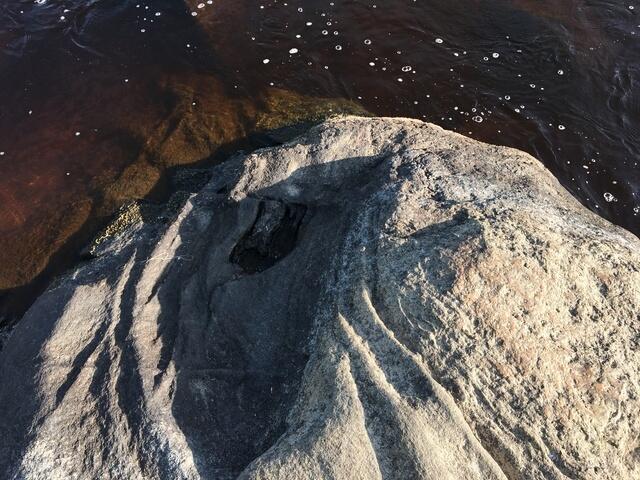 86C90FDC-8382-4E99-98C9-CA40D9E356E9