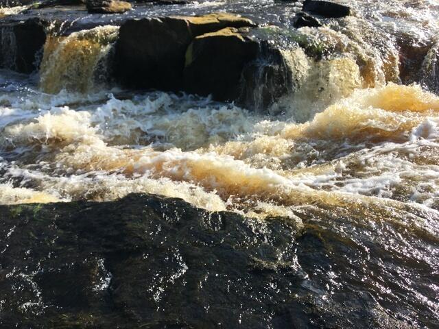 9640A9FB-9E4C-4D2E-A4A2-47587B3D8379