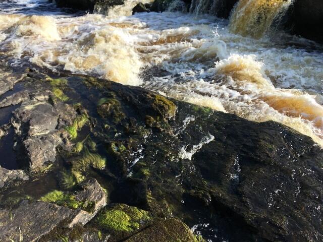 AAAA7DE3-577A-466D-ACE3-86CE436629CC