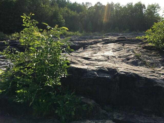 BB46E44F-346A-4215-9A51-5AD148FAA92A