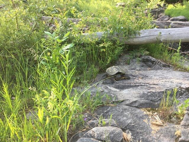 C59E4374-8C20-4B08-A280-547F3C124AFD