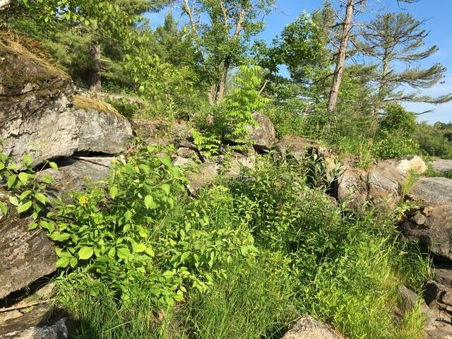 C872820A-14AC-45D5-B203-EC50C1A4F312