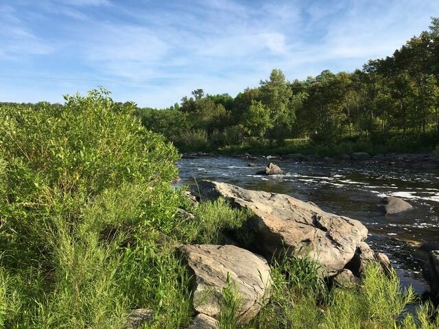 D3594592-7D56-4DB3-8D89-3F42251B4629