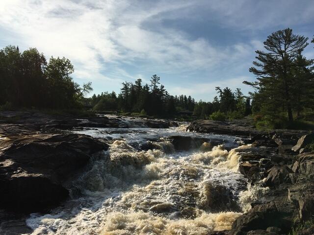 D48365FF-DD18-4610-A14F-98D545750F89