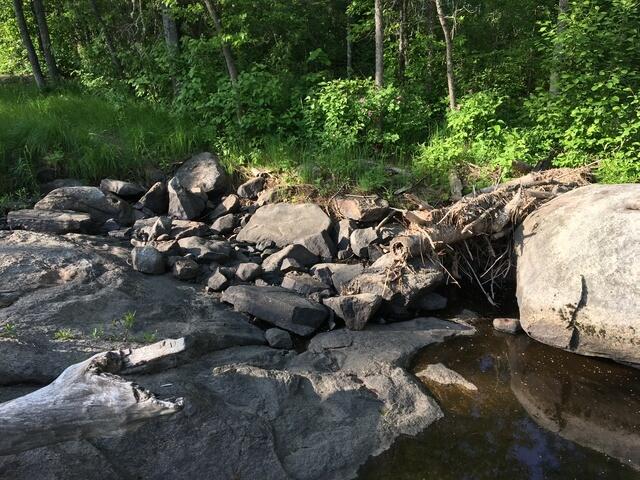 E56F315E-88E3-4D15-BE7C-9B6C05787AEB