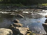 20427975-2C20-42AE-9965-14CFE478AF21