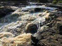 244D8DD9-664F-4738-B5E4-29BAC9E468D3