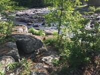 27F8A40C-2E4D-4E40-8646-09E616CCC285