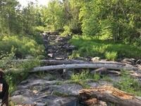 28C1A06A-8DA1-4D73-8EF9-B72399CDD7DB