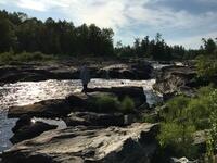 304DC17C-F1E9-49CB-B2A6-B85C41A4DFA0