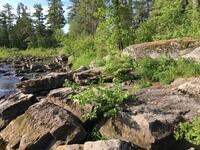 3BE7760A-0416-456E-AD5C-AEC45F07858C