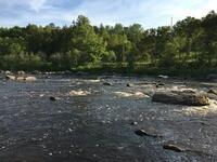 402A15E6-545E-4D8E-9472-D377214C76FA