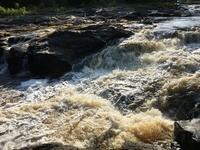 418B81D3-3AEE-4ED4-AF78-69B4B87A69F5