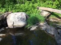 4754D922-4021-4EA8-BF83-D737DF8FB7CF