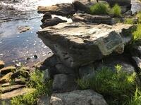 7100353B-71B4-4526-AA8C-5F40EB697E5C