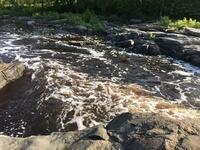 8D48E2AC-EE07-4569-877D-8DF7708C3D70