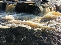 9640A9FB-9E4C-4D2E-A4A2-47587B3D8379