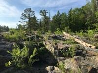 A0934940-B3C9-4AE9-B199-133E416E6146