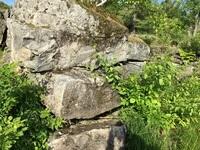 A8E47162-4D20-4A54-8AEB-A2F28FC66EEC