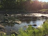 A8EAEBCF-F555-475F-88E8-28DA42BF189B