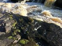 AAAA7DE3-577A-466D-ACE3-86CE436629CC