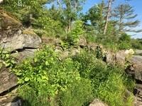 C872820A-14AC-45D5-B203-EC50C1A4F312