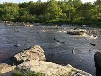 DA21A10E-BFBE-422B-9B27-5A311F1FD615