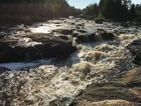 E10C164C-1D10-415C-ADAD-3FF087A94242