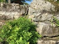 EC6F2997-4A58-4415-9547-6CE5CC609516