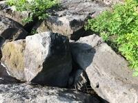 F603FE06-C5B8-4BCD-84DA-1ABB6EAD89AE